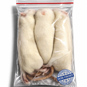 Ratte Jumbo +450g