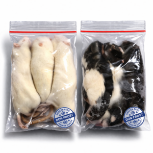 Ratte XXXL +350g
