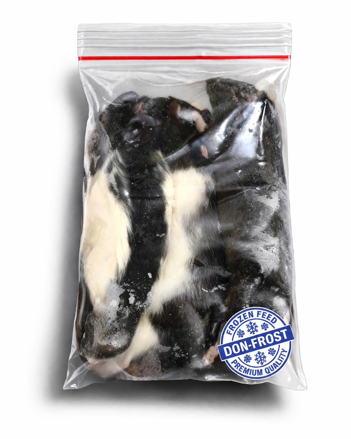 Ratte XXL +300g