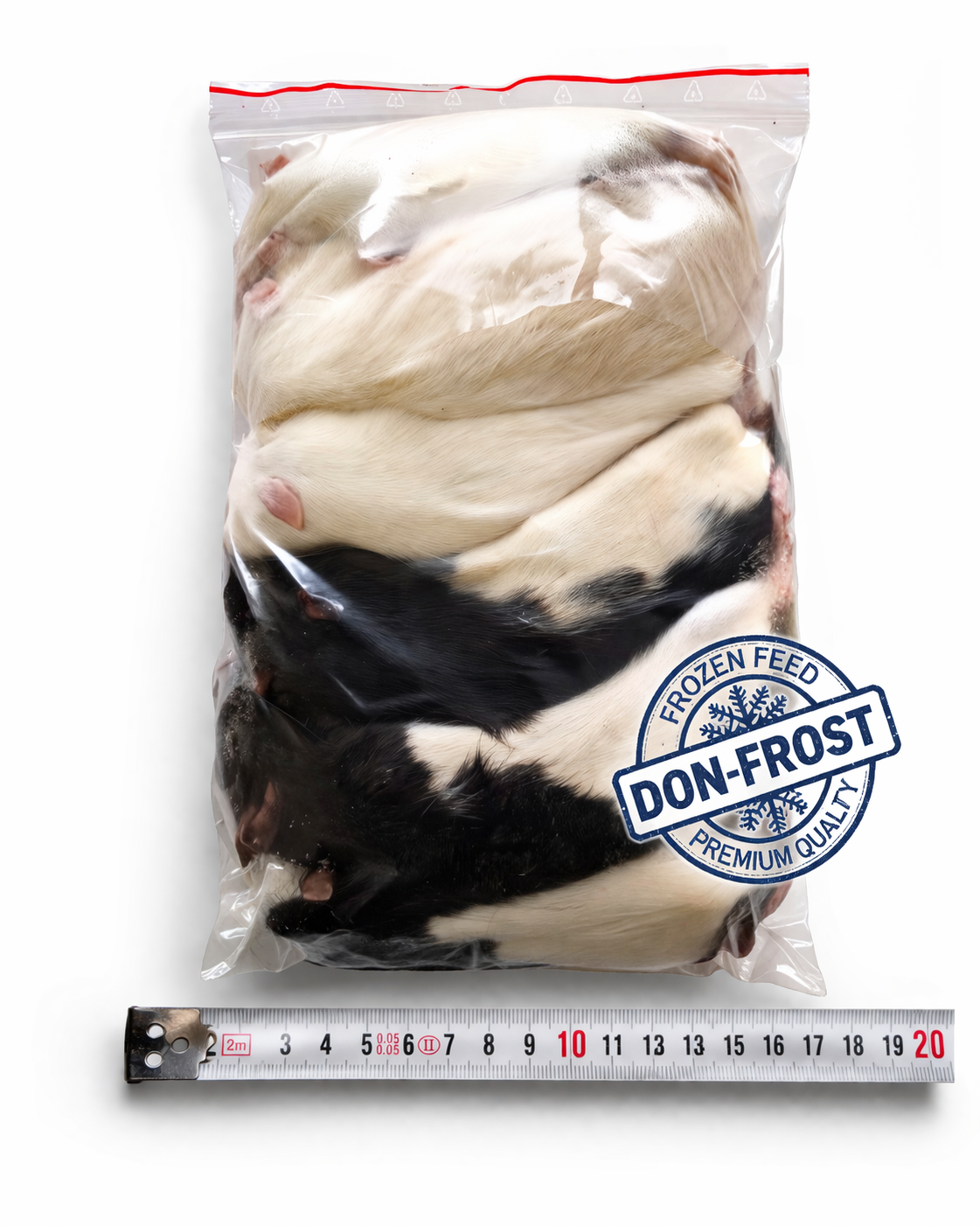 Ratte Adult 190 - 240g